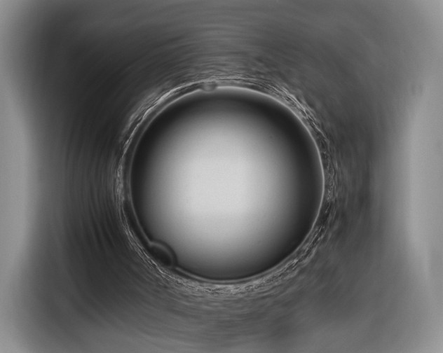 X0000116270002200912071051