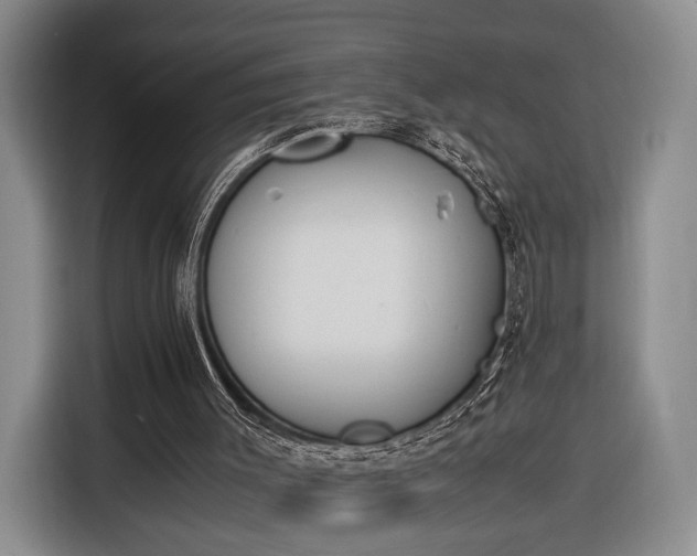 X0000116270003200912071051
