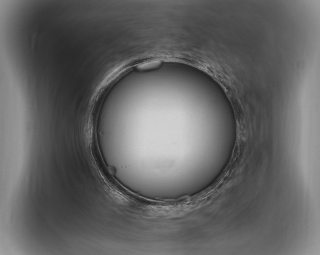 X0000116270005200912071051