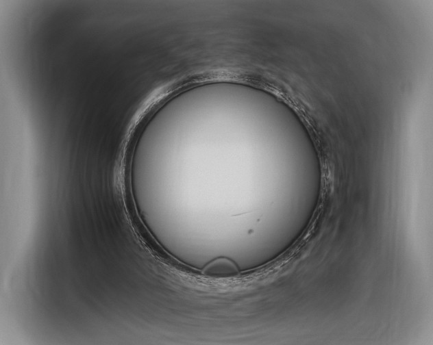 X0000116270006200912071051
