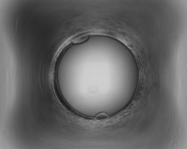 X0000116270007200912071051