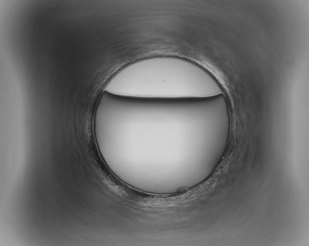 X0000116270009200912071051
