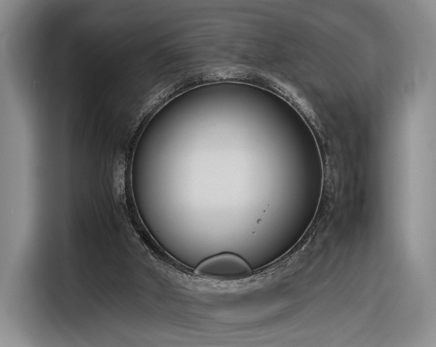 X0000116270010200912071051