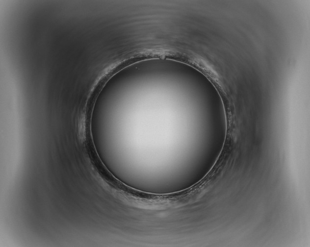 X0000116270012200912071051