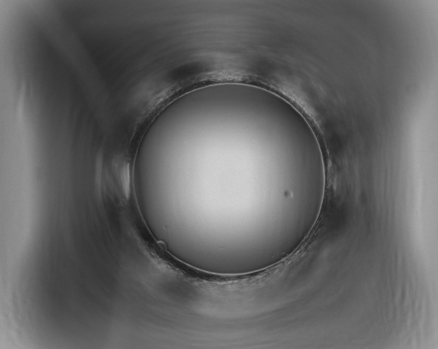 X0000116270013200912071051