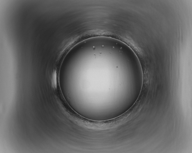 X0000116270014200912071051