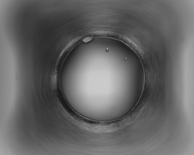 X0000116270016200912071051