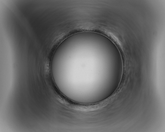 X0000116270017200912071051
