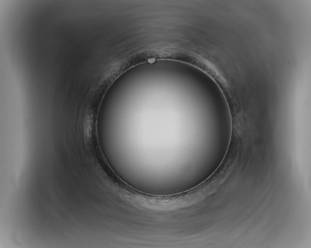 X0000116270018200912071051