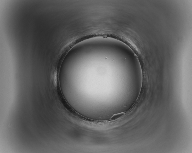 X0000116270019200912071051
