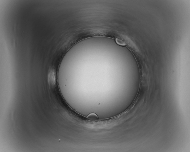 X0000116270021200912071051