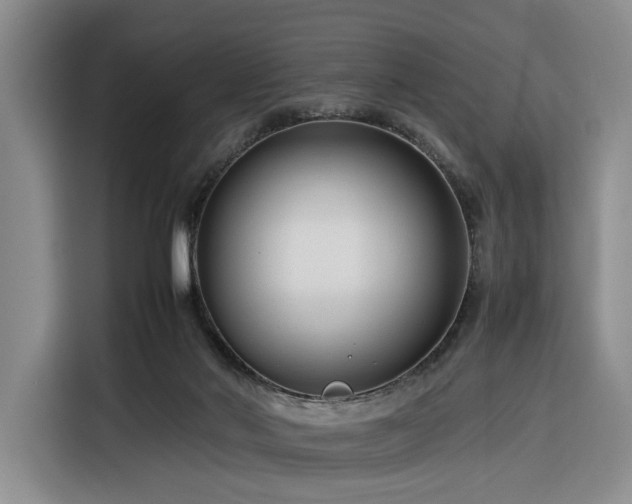 X0000116270022200912071051
