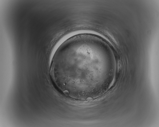 X0000116270023200912071051
