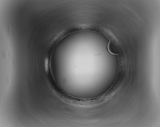 X0000116270024200912071051