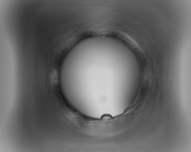 X0000116270025200912071051