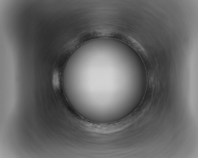 X0000116270026200912071051