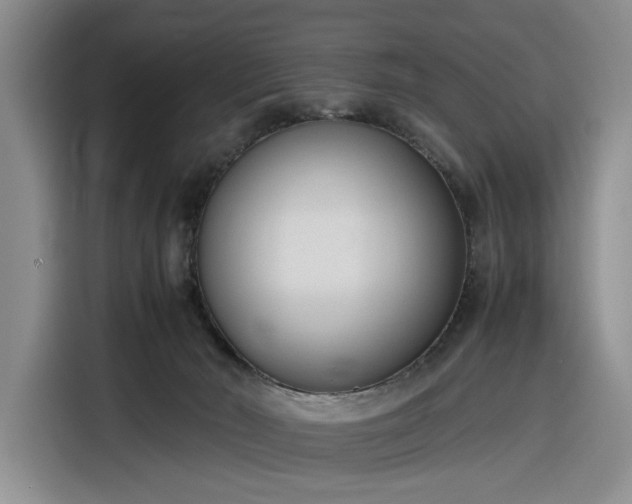 X0000116270030200912071051