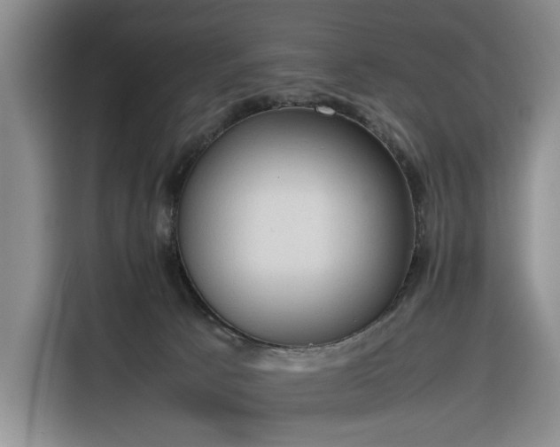 X0000116270033200912071051