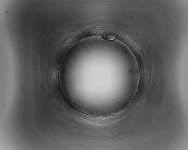 X0000116270035200912071051