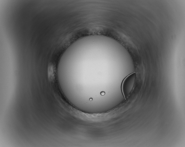 X0000116270038200912071051