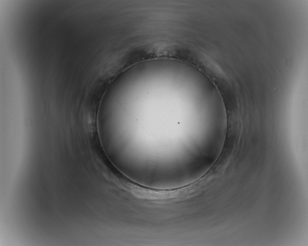 X0000116270039200912071051
