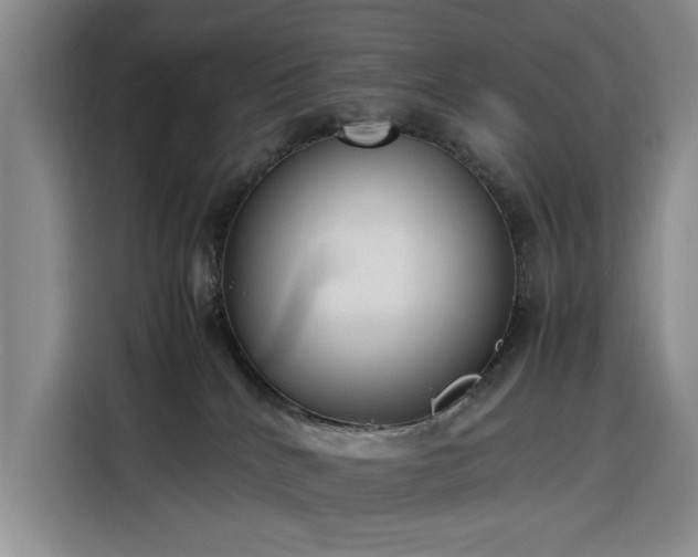 X0000116270040200912071051