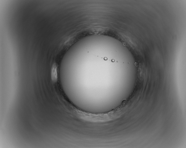 X0000116270042200912071051