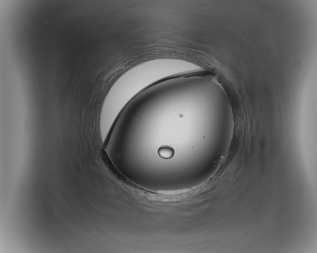 X0000116270043200912071051