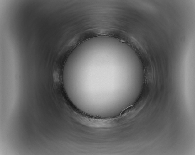X0000116270044200912071051