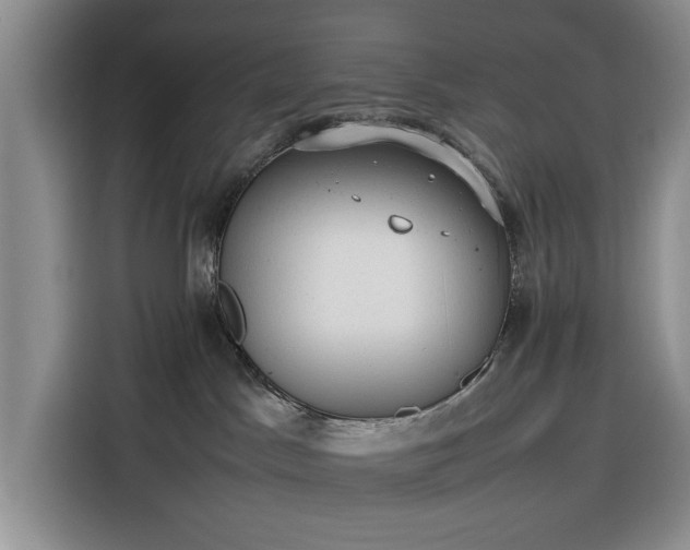 X0000116270045200912071051