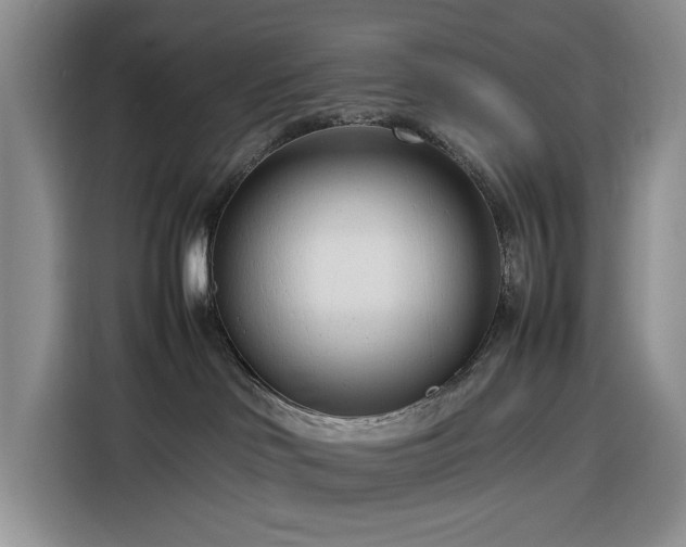 X0000116270046200912071051