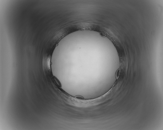 X0000116270047200912071051