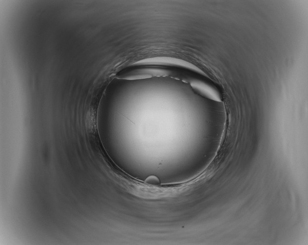 X0000116270048200912071051