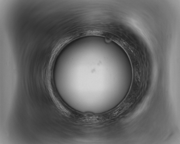 X0000116270049200912071050