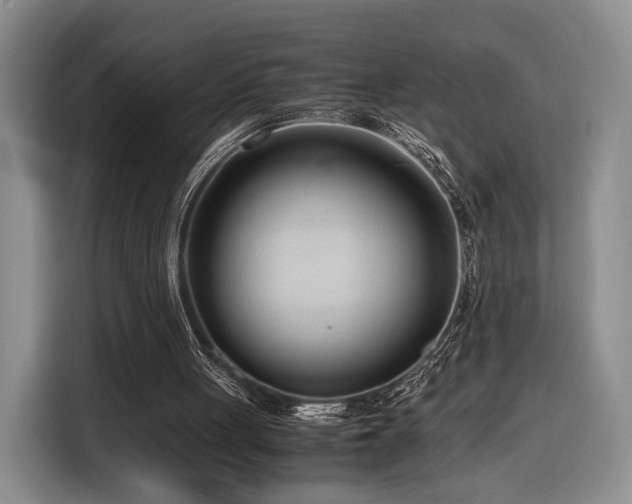 X0000116270051200912071050