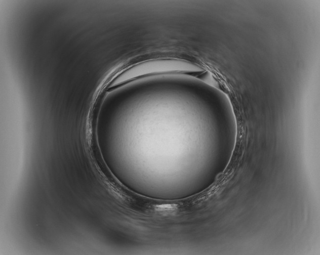 X0000116270053200912071050