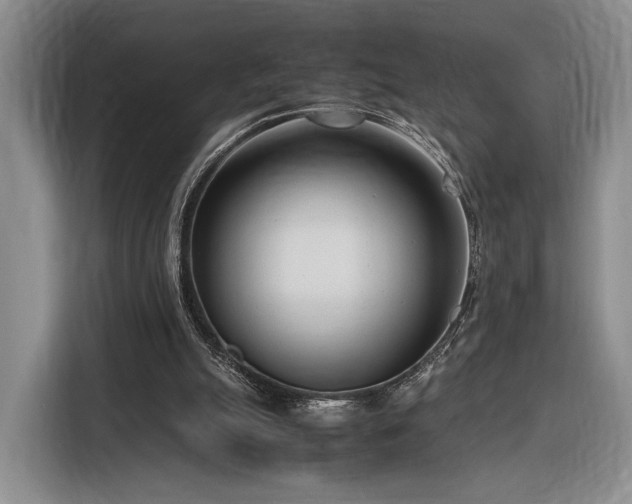 X0000116270055200912071050