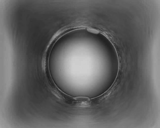 X0000116270056200912071050