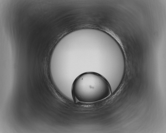 X0000116270057200912071050