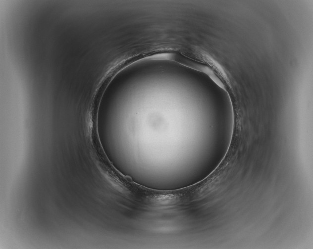 X0000116270059200912071050