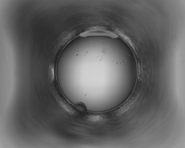 X0000116270061200912071050