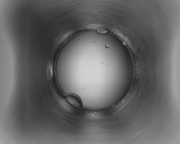 X0000116270062200912071050