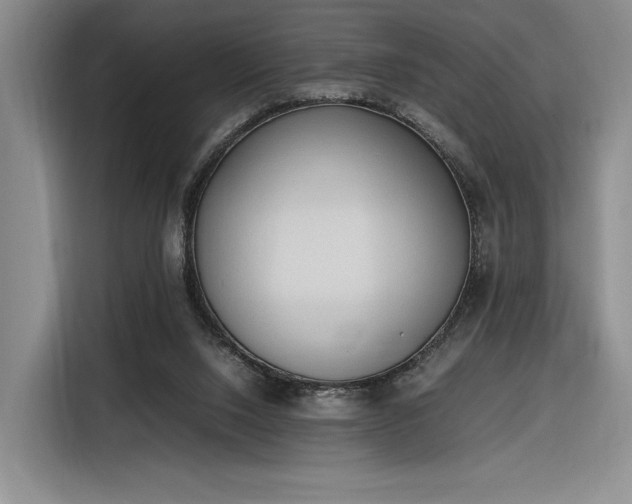 X0000116270064200912071050