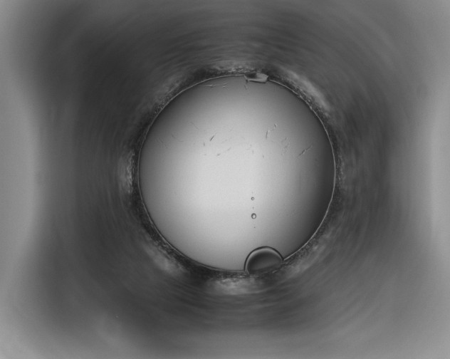 X0000116270065200912071050