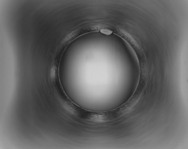 X0000116270071200912071051