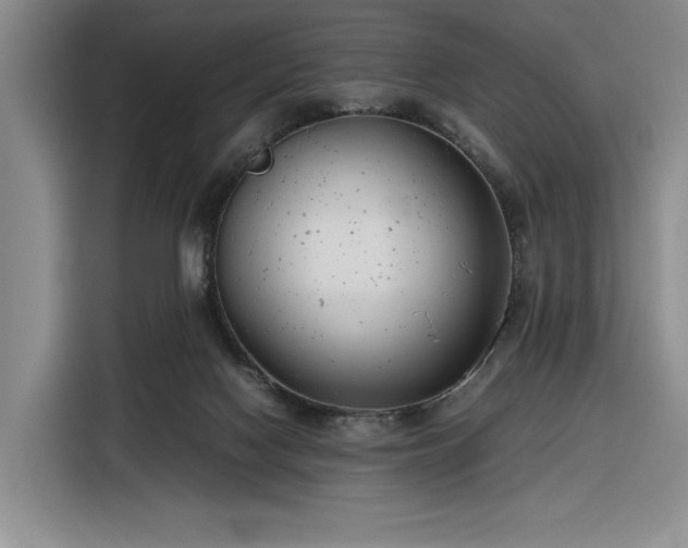 X0000116270074200912071051