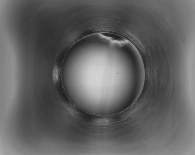 X0000116270075200912071051