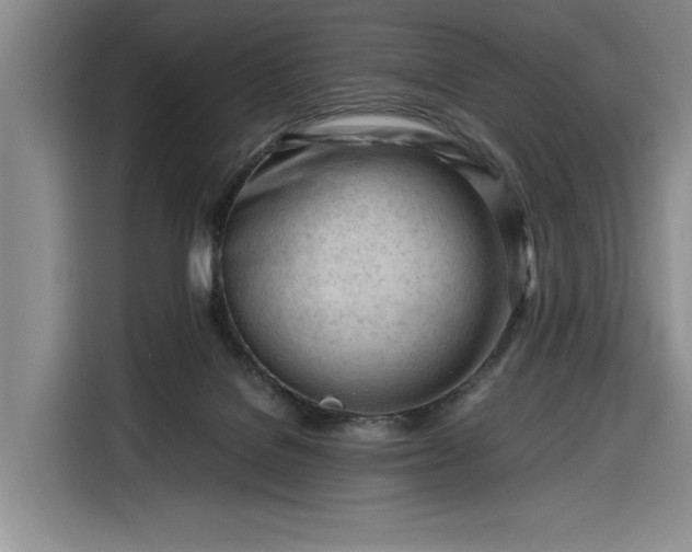 X0000116270076200912071051