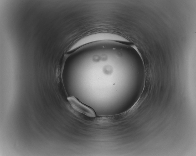 X0000116270082200912071051