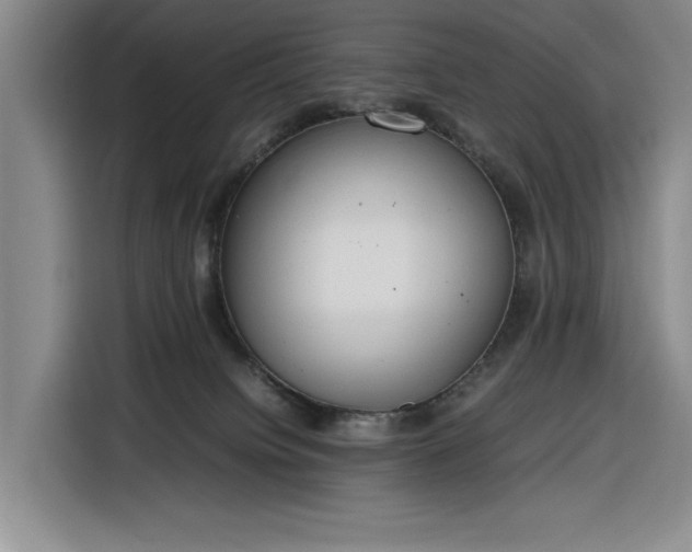 X0000116270084200912071051